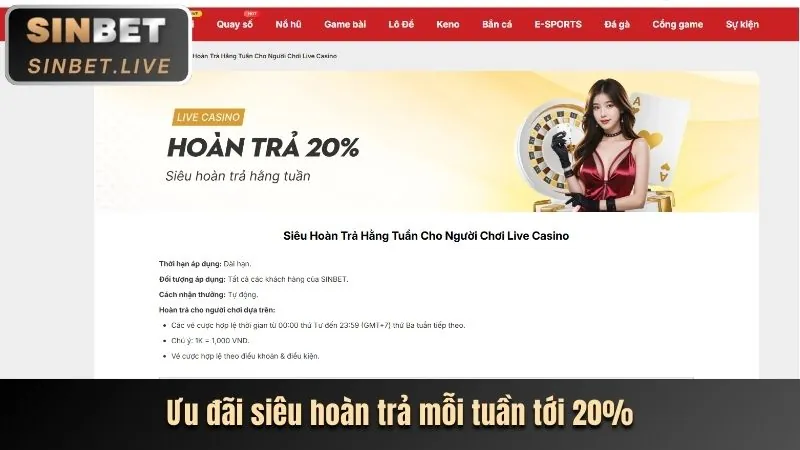 Khuyến mãi và ưu đãi